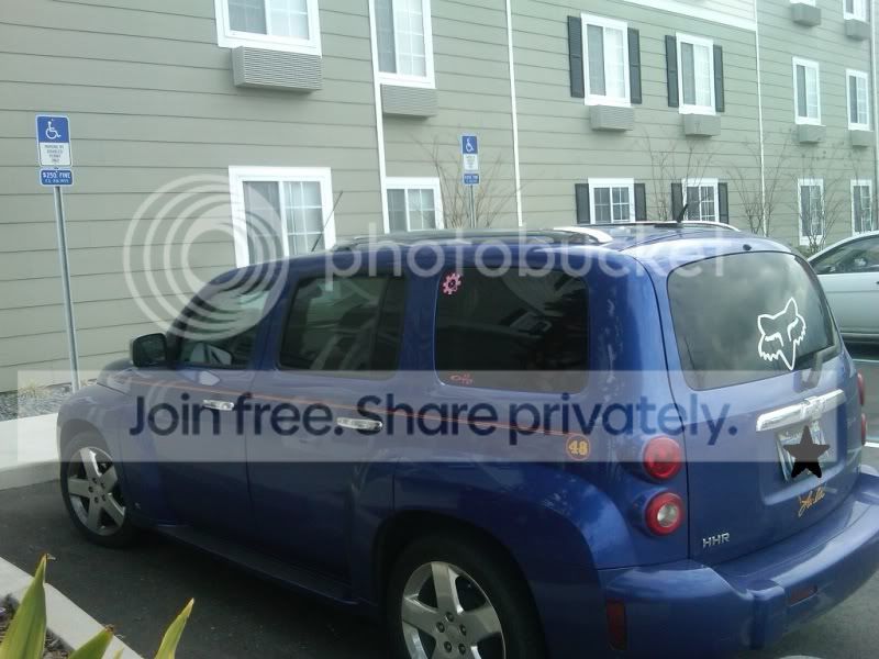 pink BFL on blue HHR > General Discussion > AR15.COM