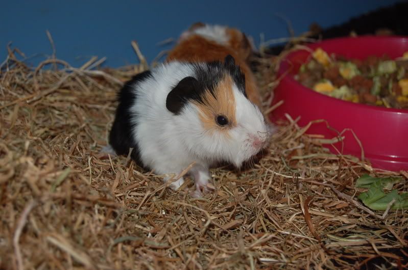 DSC_0348.jpg