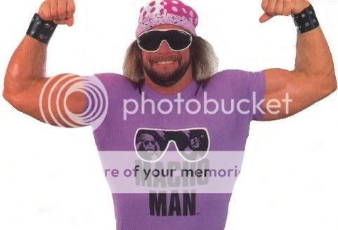 Macho Man Randy Savage Purple Sunglasses T shirt New  