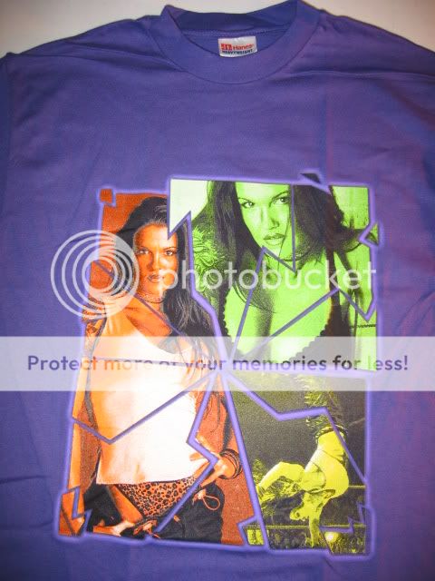 WWE Diva Lita Hot Purple Signature T Shirt Vintage