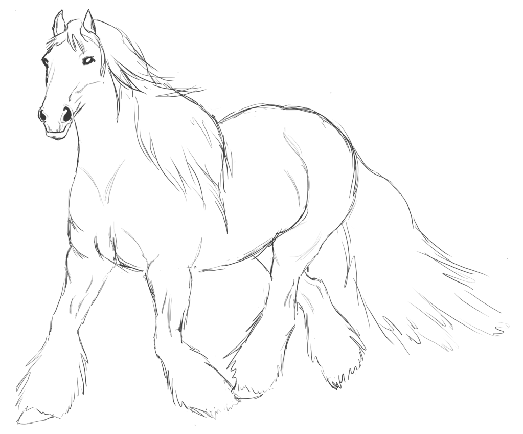 Free Horse Drawings: Photoshop/tablet | The Horse Forum