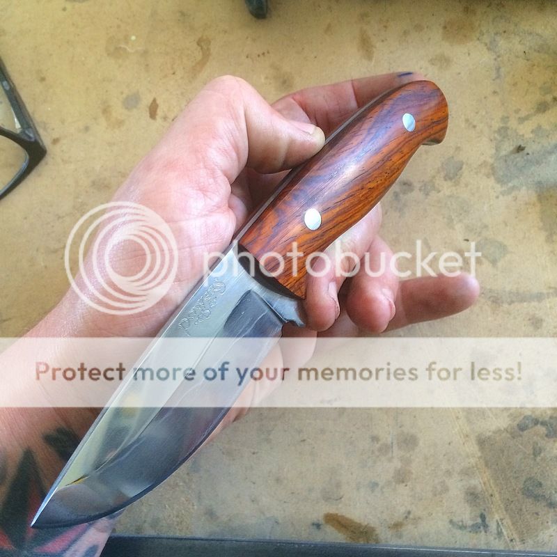 Hamon disappeared....?