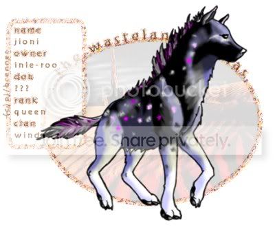 User Image