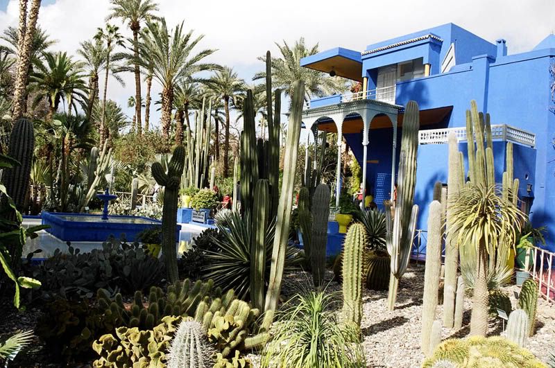 Jardin Majorelle