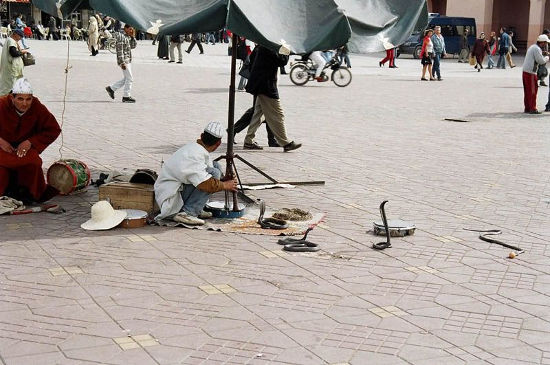 Marrakesh
