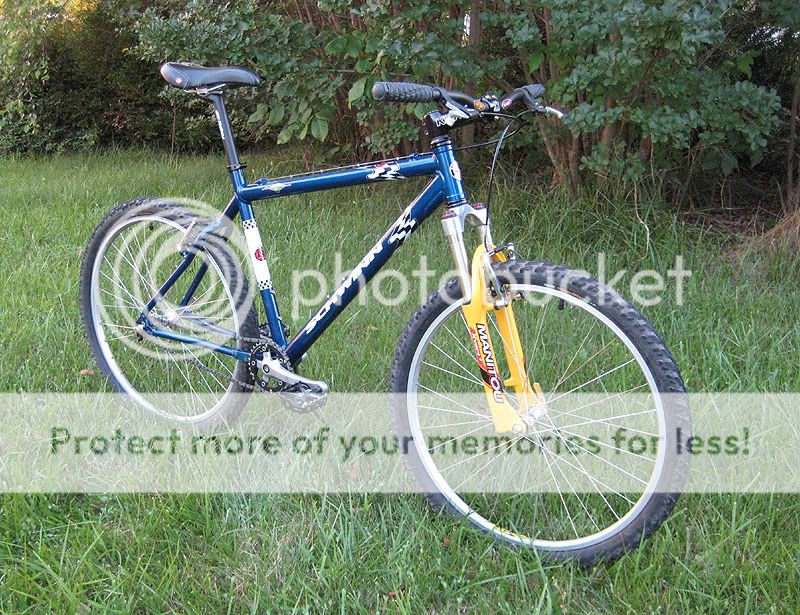 schwinn s60 dsx mountain bike