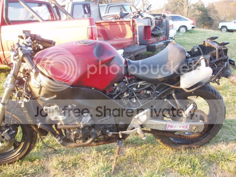 1996 Suzuki RF600 | Custom Fighters - Custom Streetfighter Motorcycle Forum
