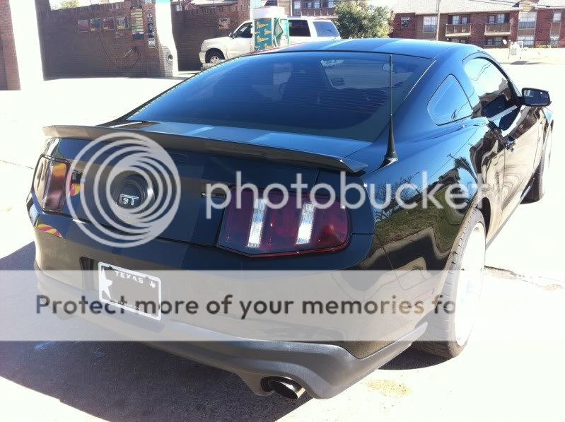 Just installed Black Matte Racing Stripes | Page 2 | S197 Mustang Forum ...