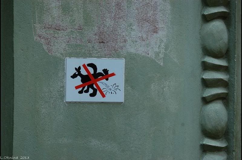 photo DSC_0659_1_zps869b62b0.jpg